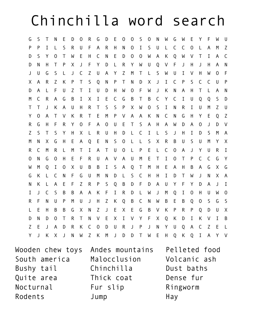 Chinchilla word search 
