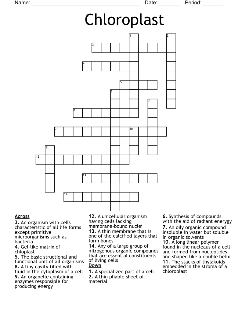 Chloroplast Crossword