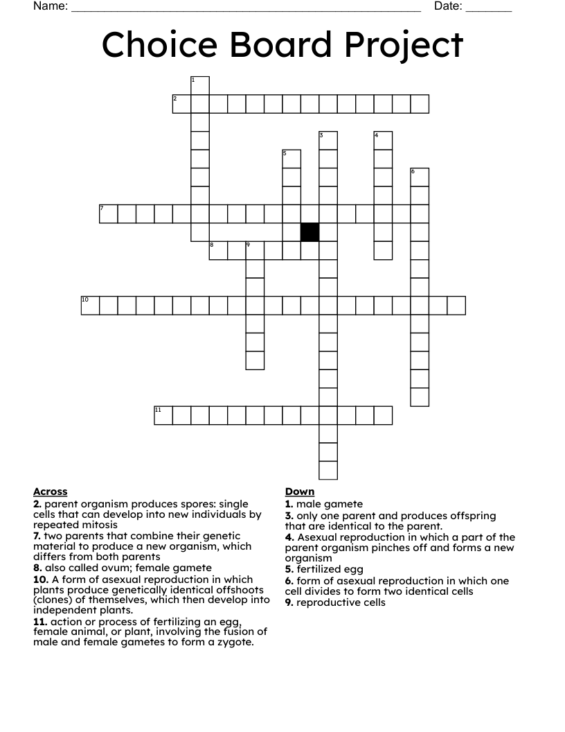 Choice Board Project Crossword