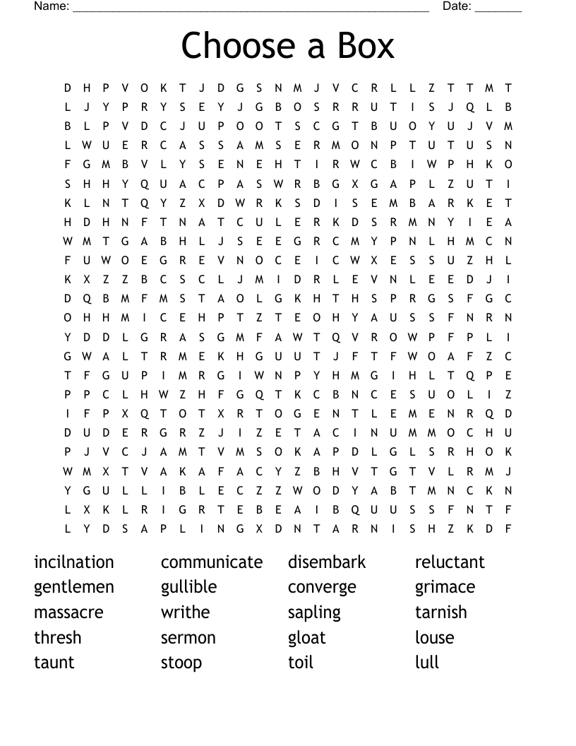 Choose a Box Word Search