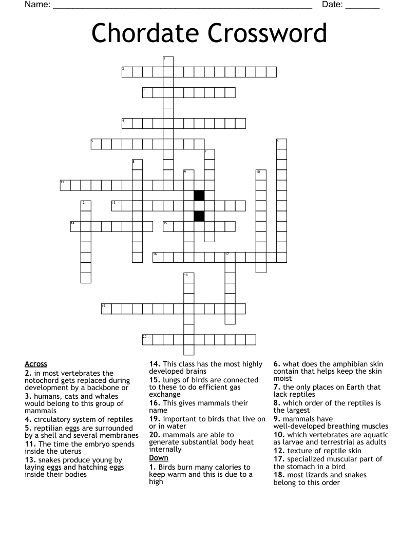 Chordate Crossword