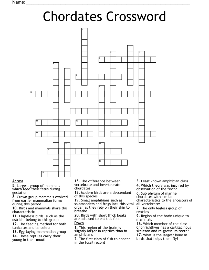 Chordates Crossword