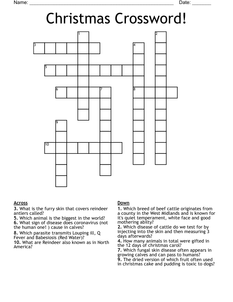 Christmas Crossword!