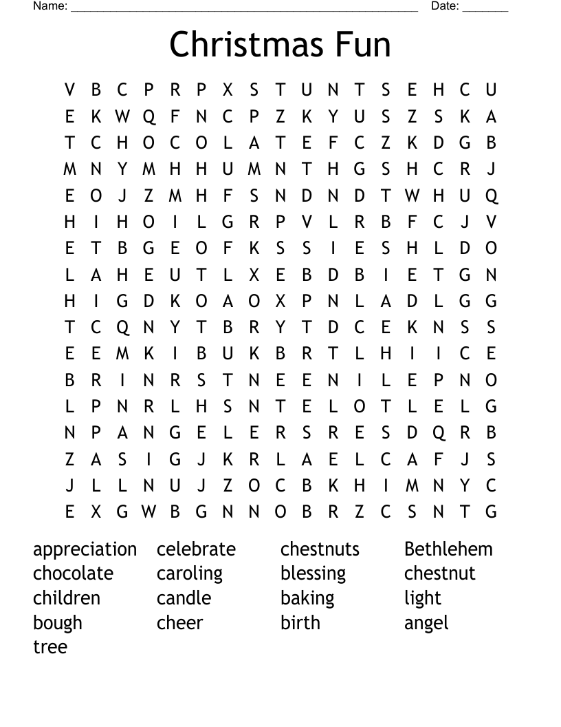 Christmas Fun Word Search