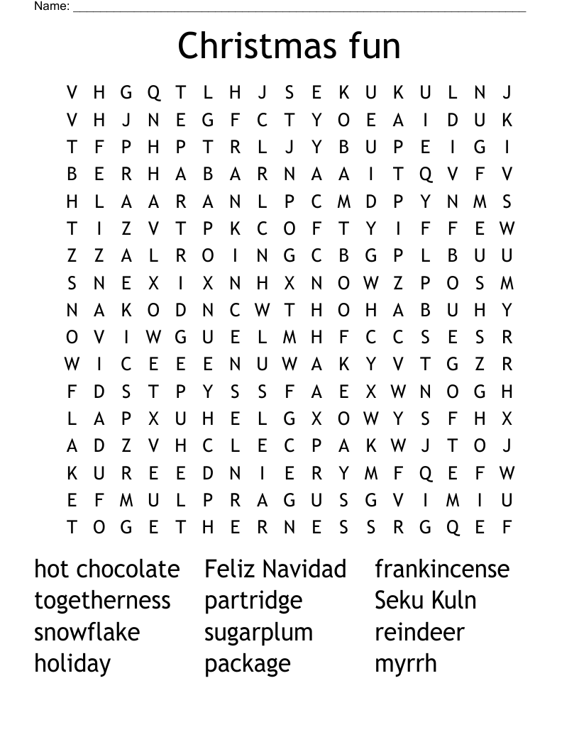 Christmas fun Word Search