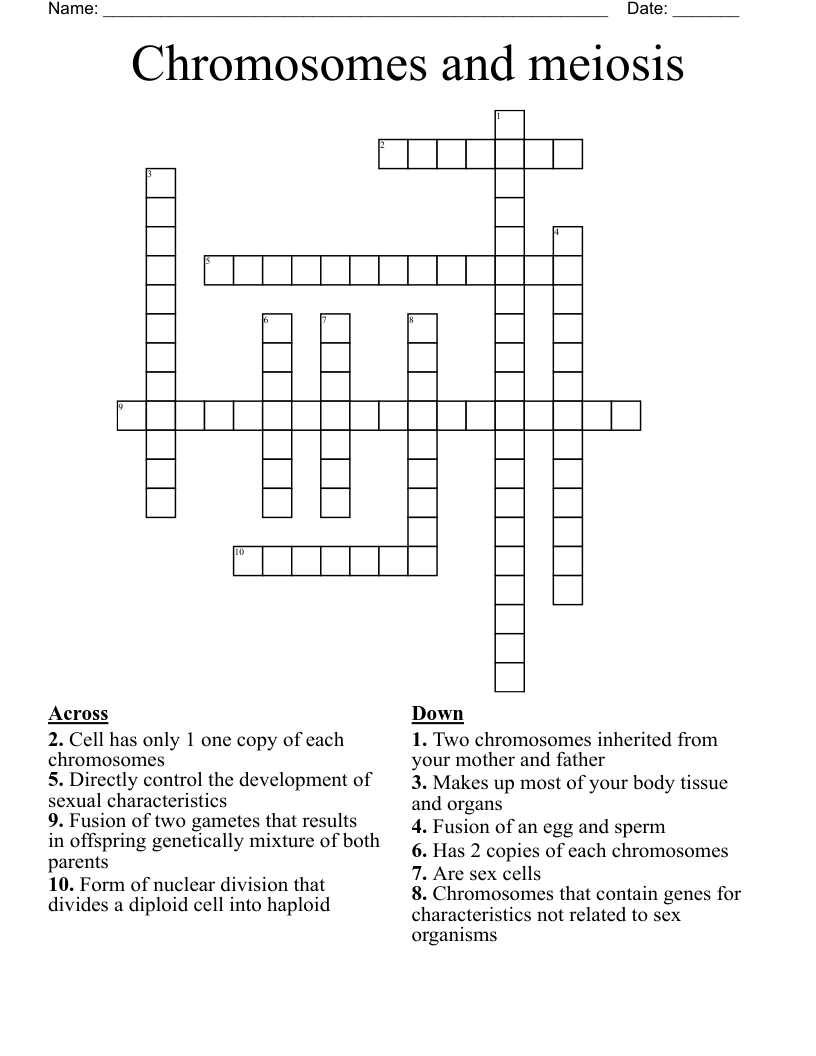 Chromosomes and meiosis  Crossword