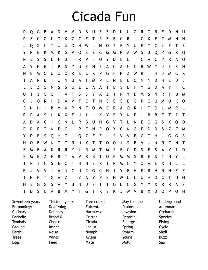 Cicada Fun Word Search