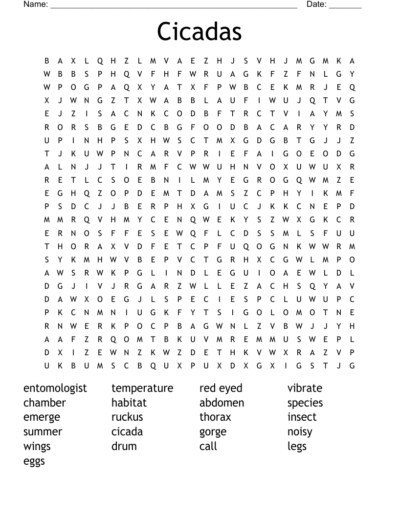 Cicadas Word Search
