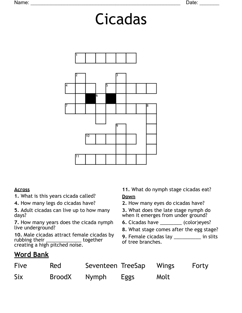 Cicadas Crossword
