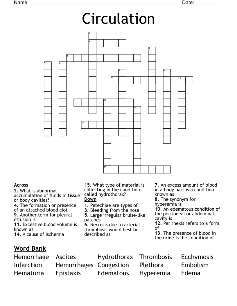 Circulation Crossword
