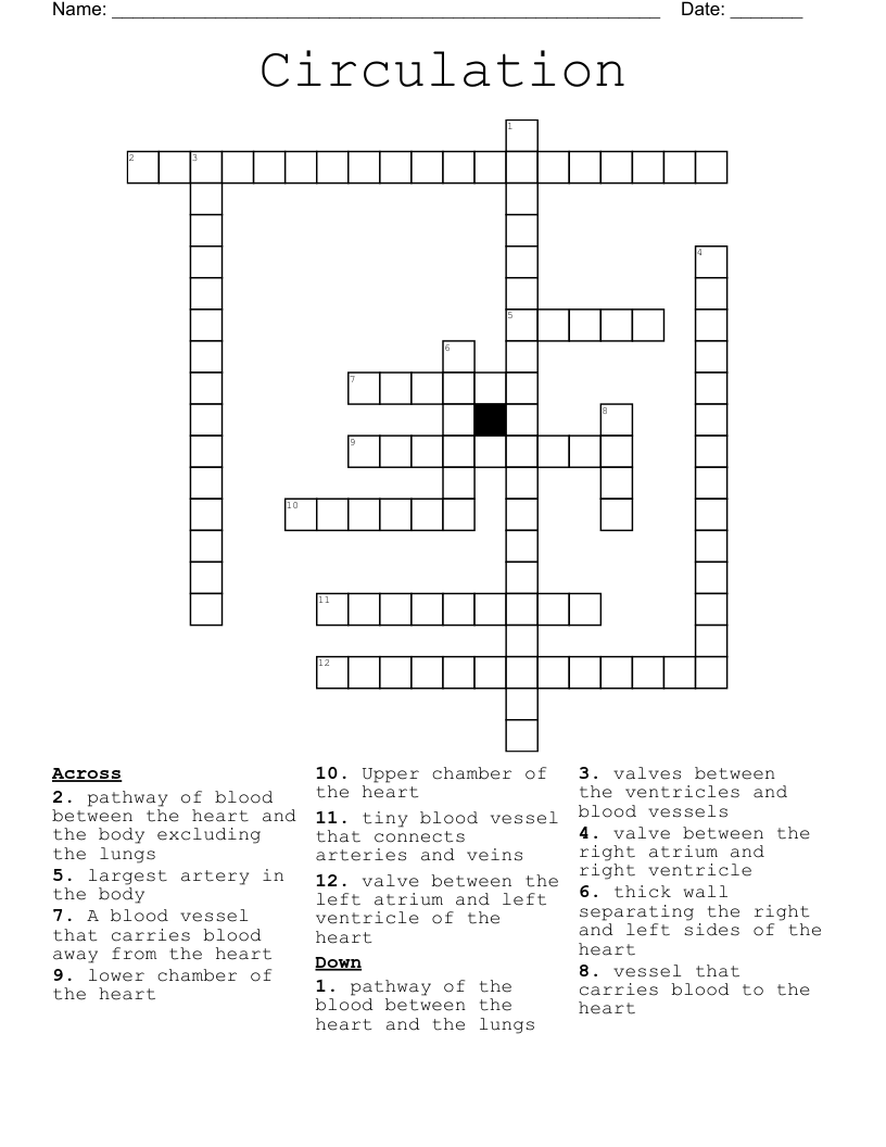 Circulation Crossword