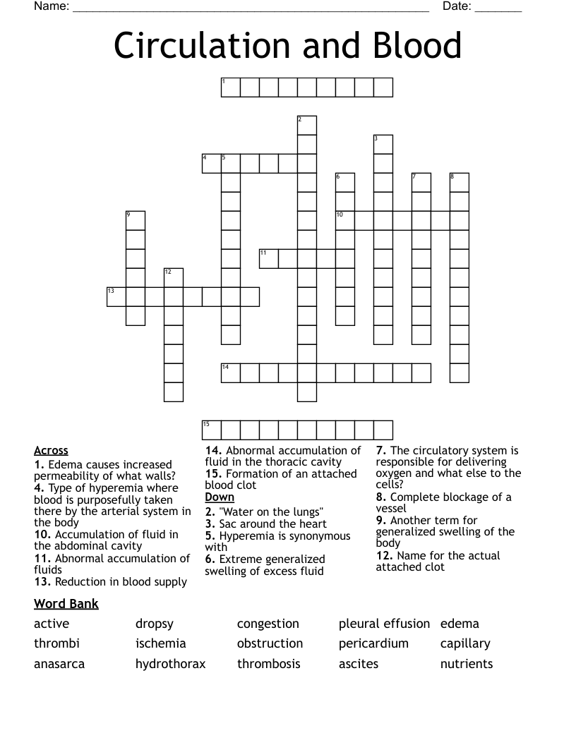 Circulation and Blood Crossword