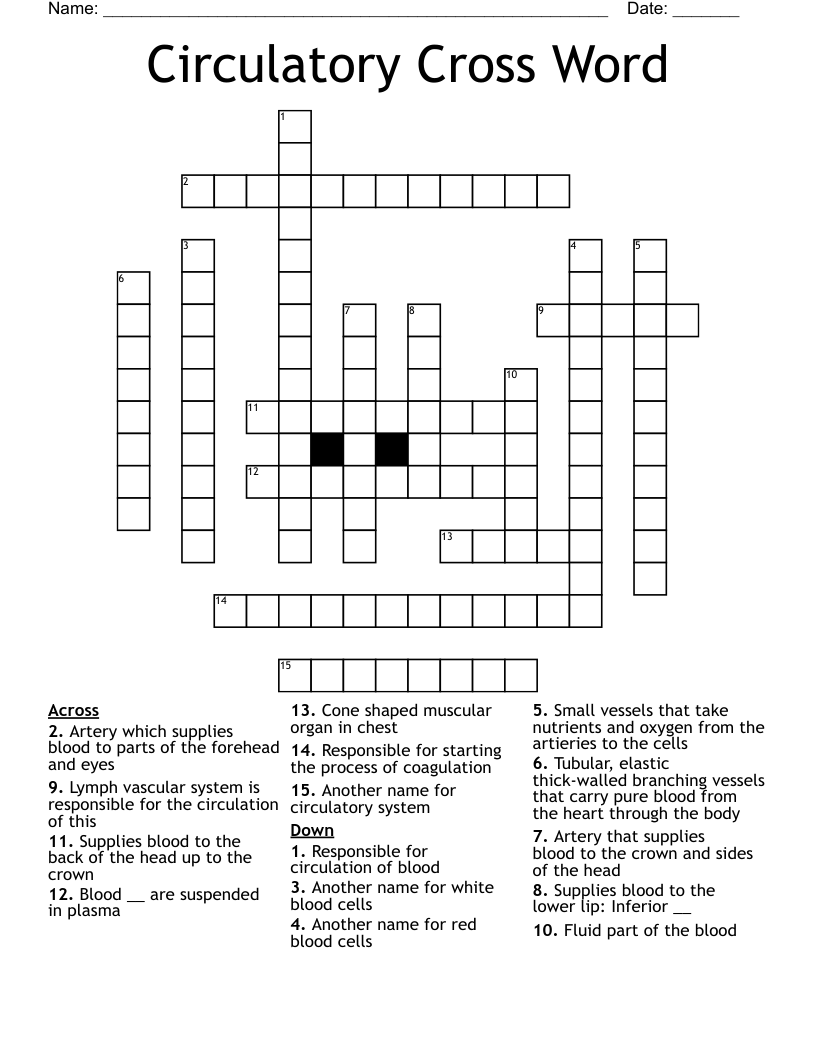 Circulatory Cross Word