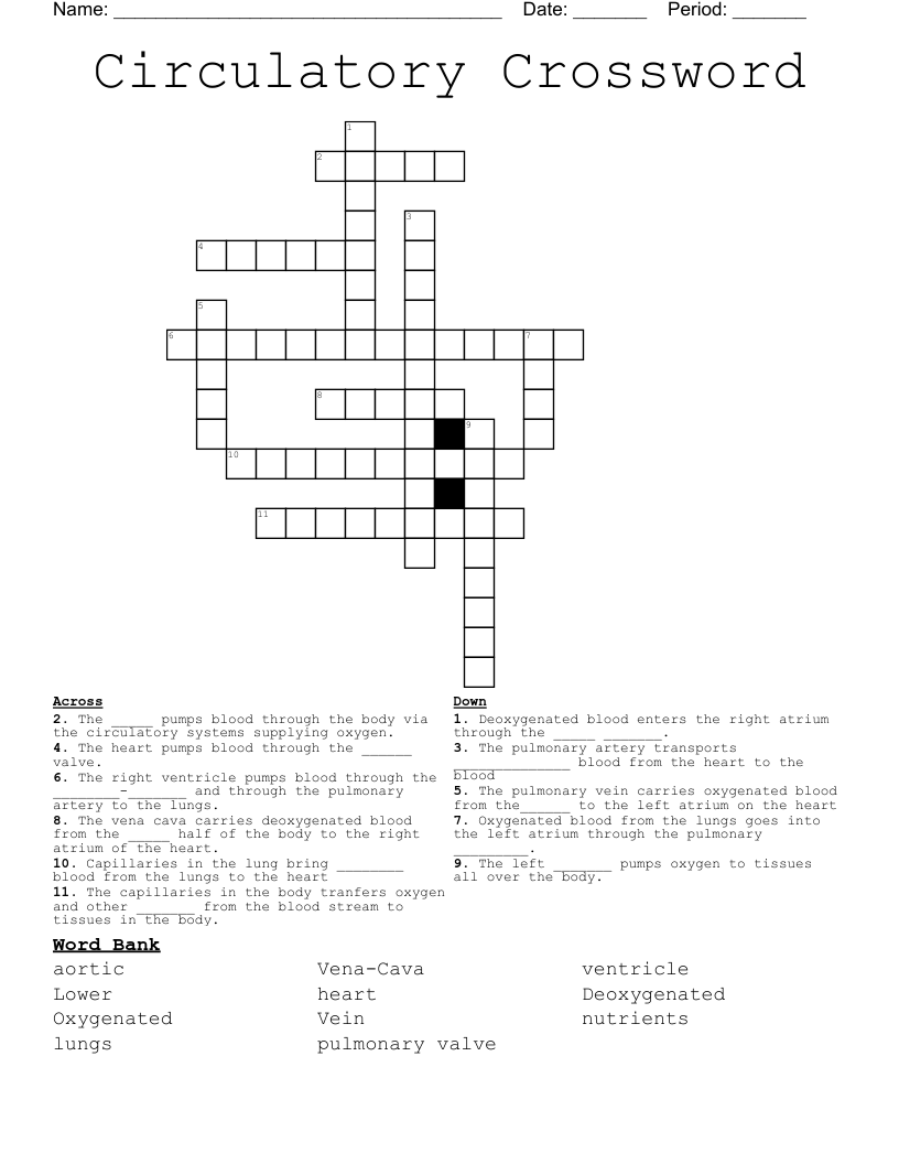 Circulatory Crossword