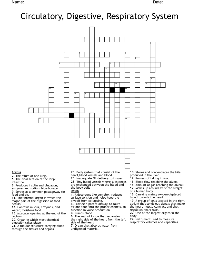 Circulatory, Digestive, Respiratory System Crossword