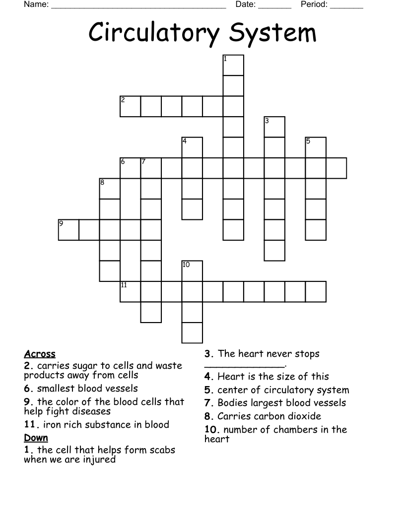 Circulatory System Crossword