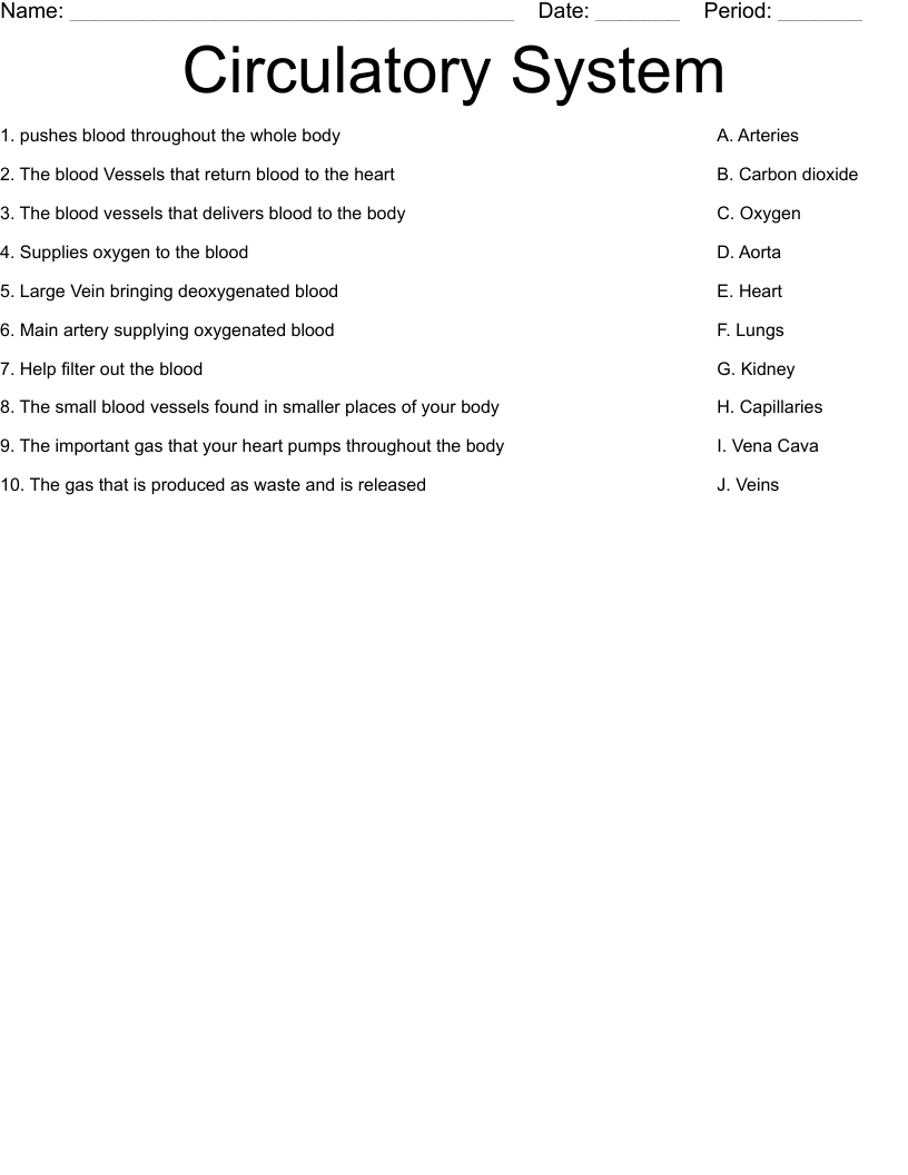 Circulatory System Worksheet