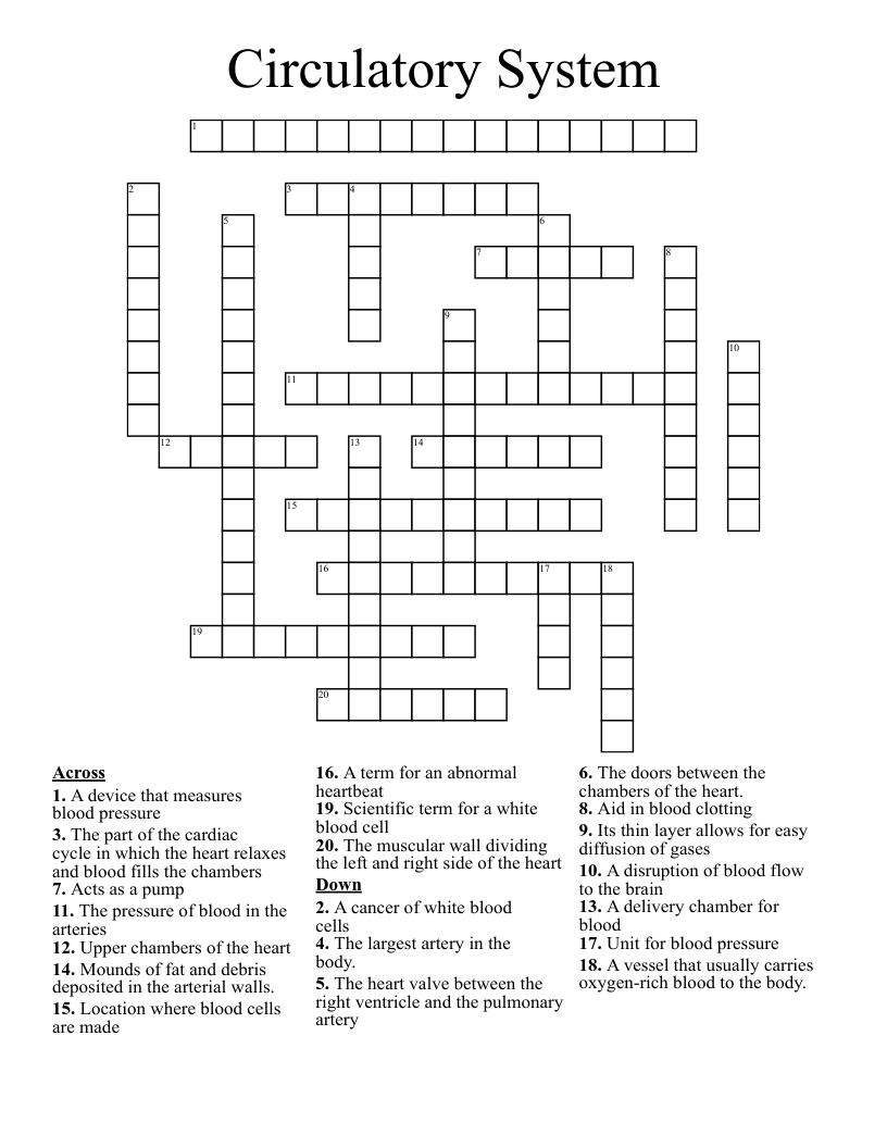 Circulatory System Crossword