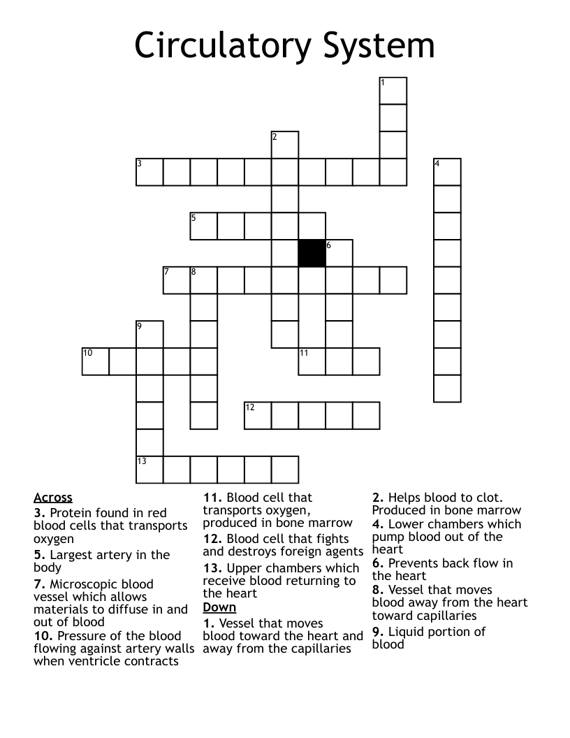 Circulatory System Crossword