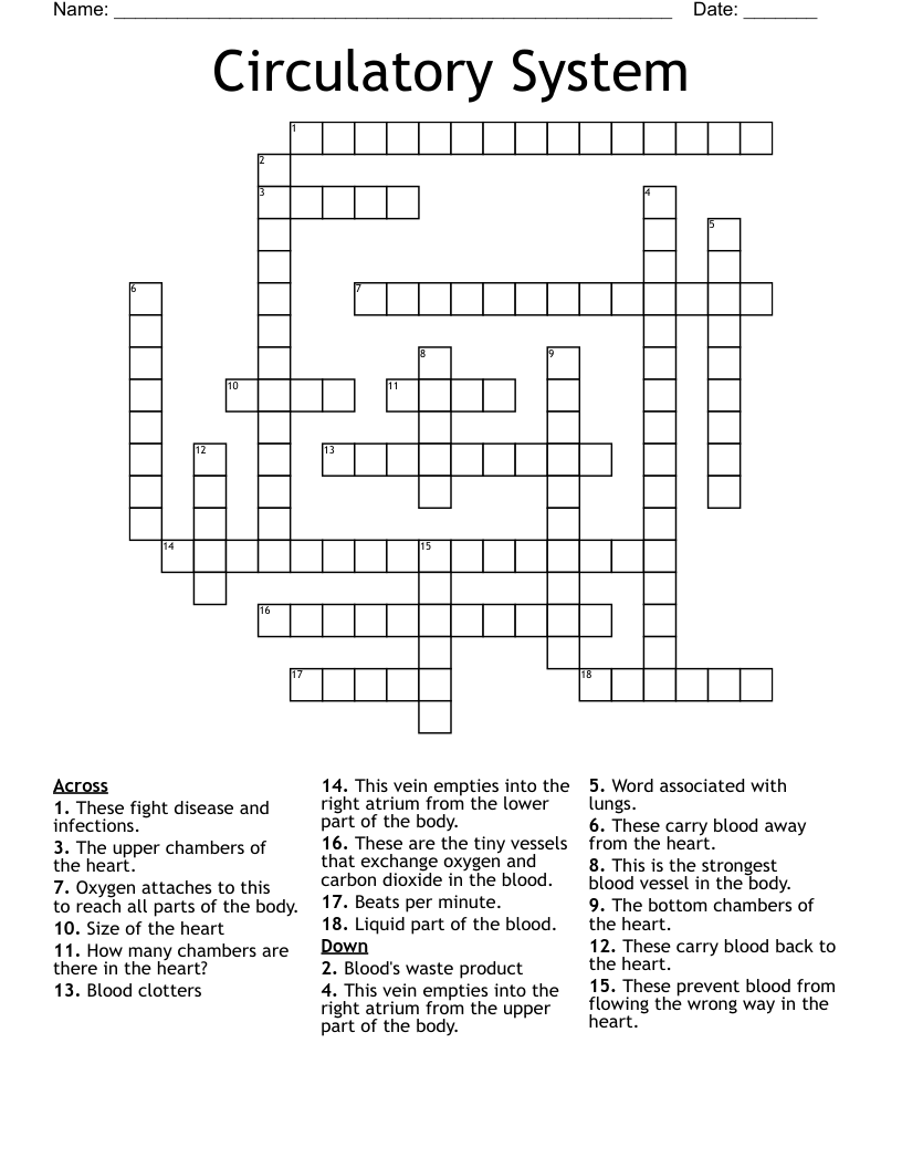 Circulatory System Crossword