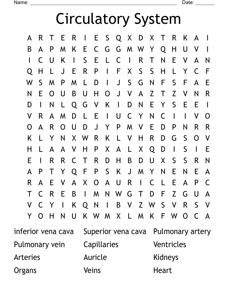 Circulatory System Word Search