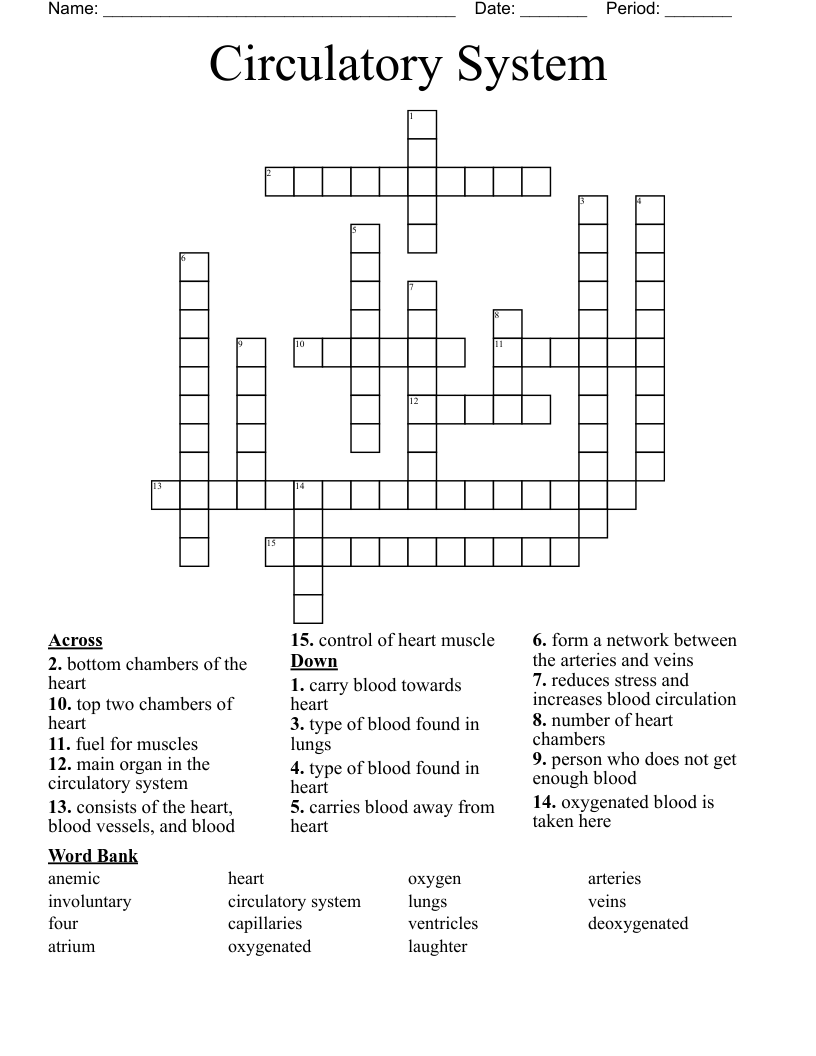 Circulatory System Crossword