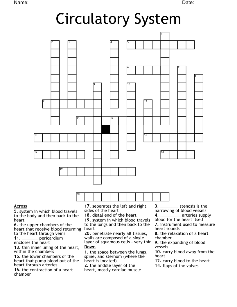 Circulatory System Crossword