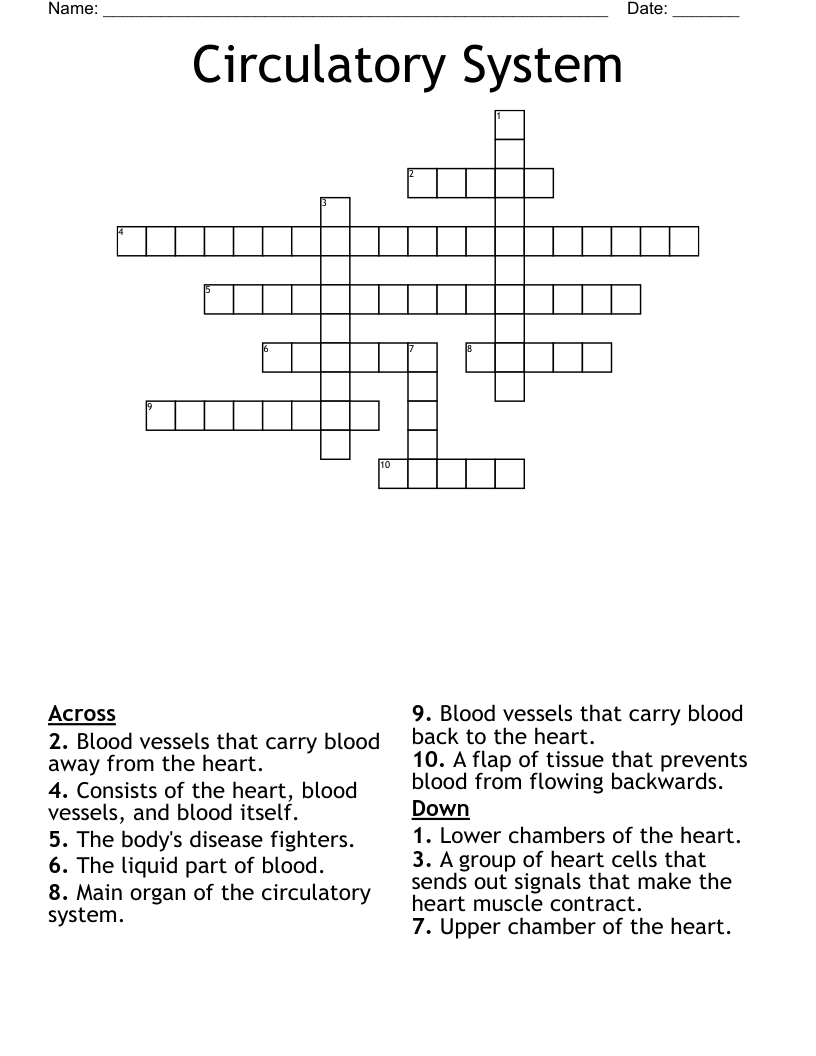 Circulatory System Crossword