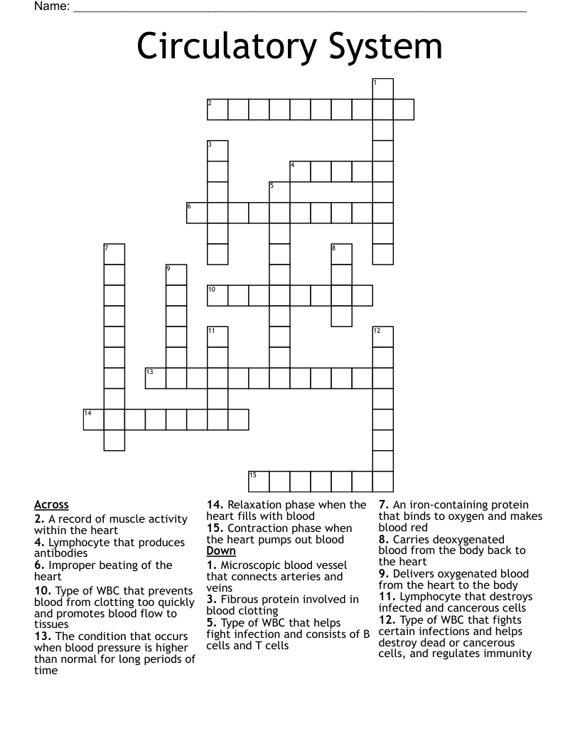 Circulatory System Crossword