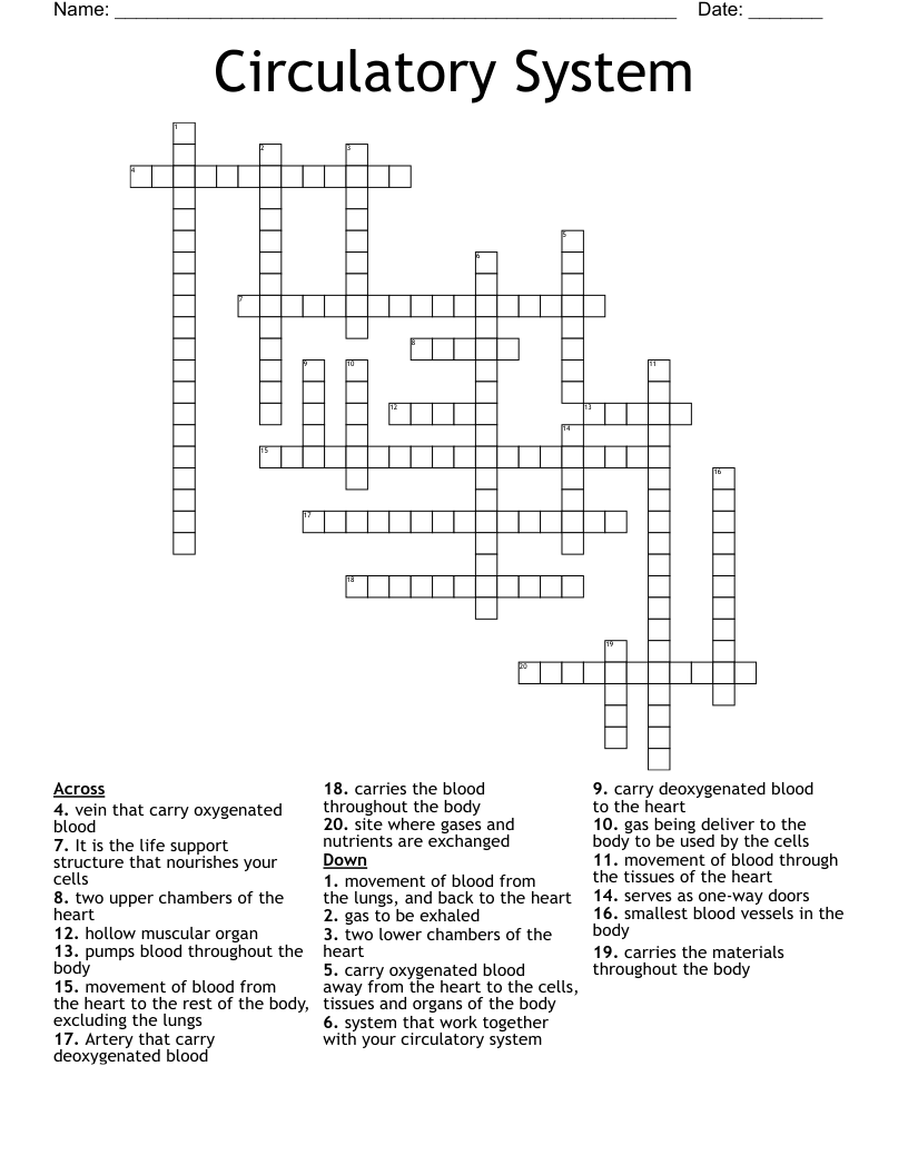 Circulatory System Crossword