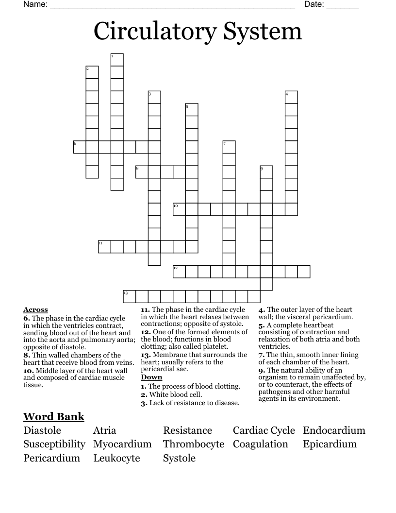Circulatory System Crossword
