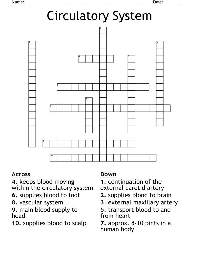 Circulatory System Crossword
