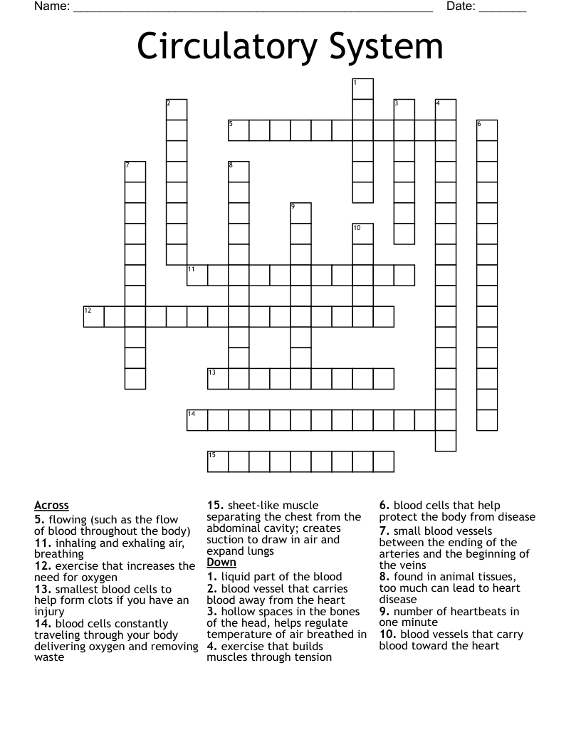Circulatory System Crossword