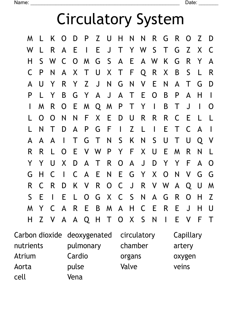 Circulatory System Word Search