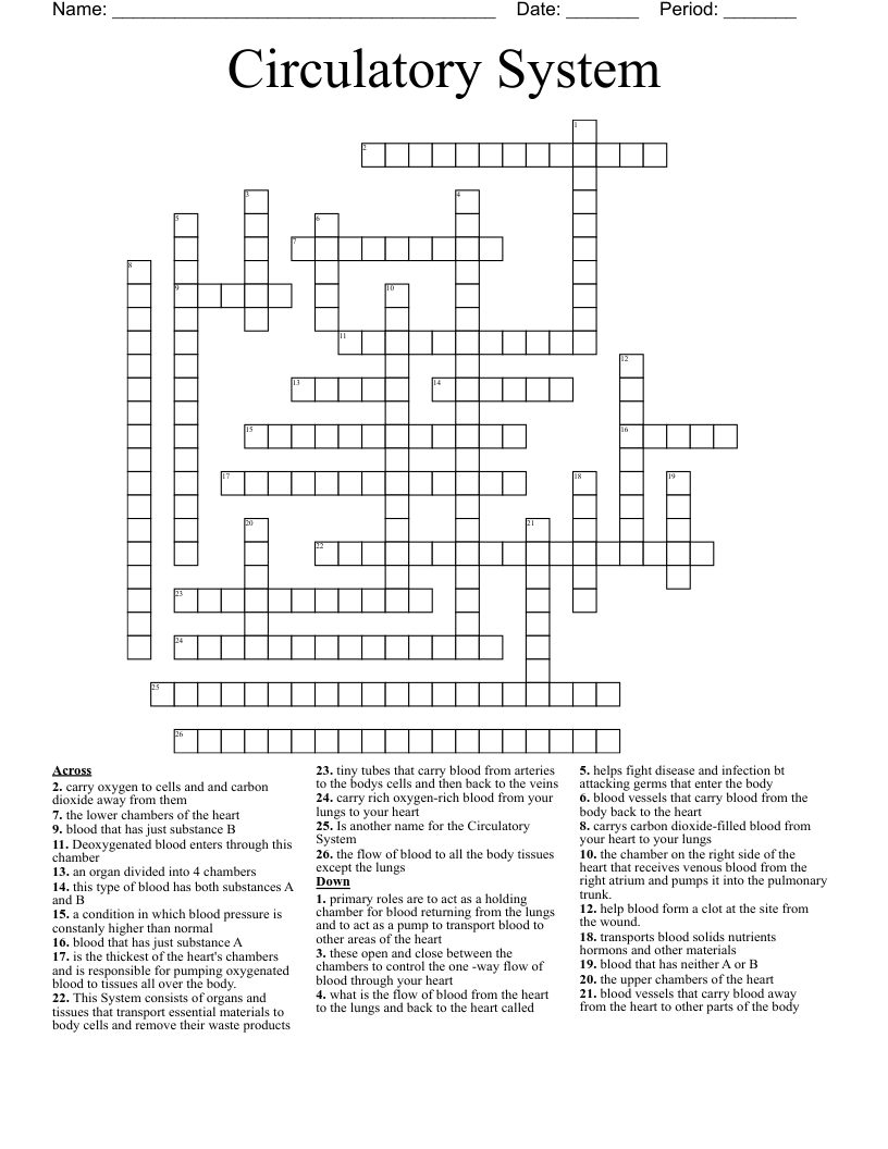 Circulatory System Crossword