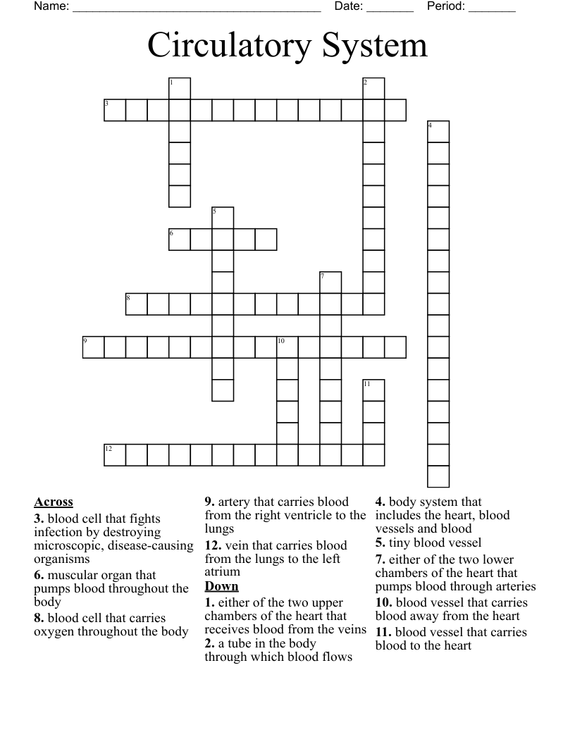 Circulatory System Crossword