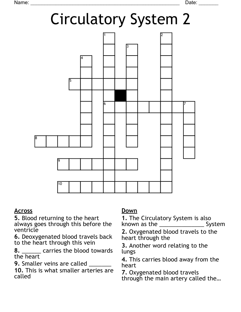 Circulatory System 2 Crossword