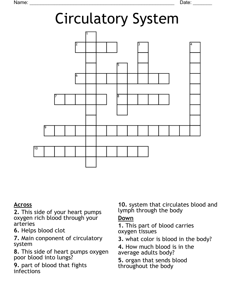 Circulatory System Crossword