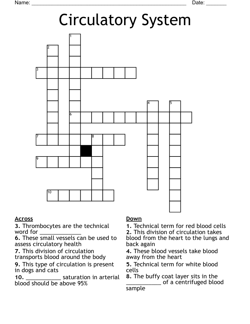 Circulatory System Crossword