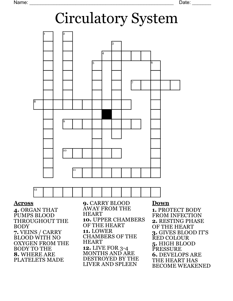 Circulatory System Crossword