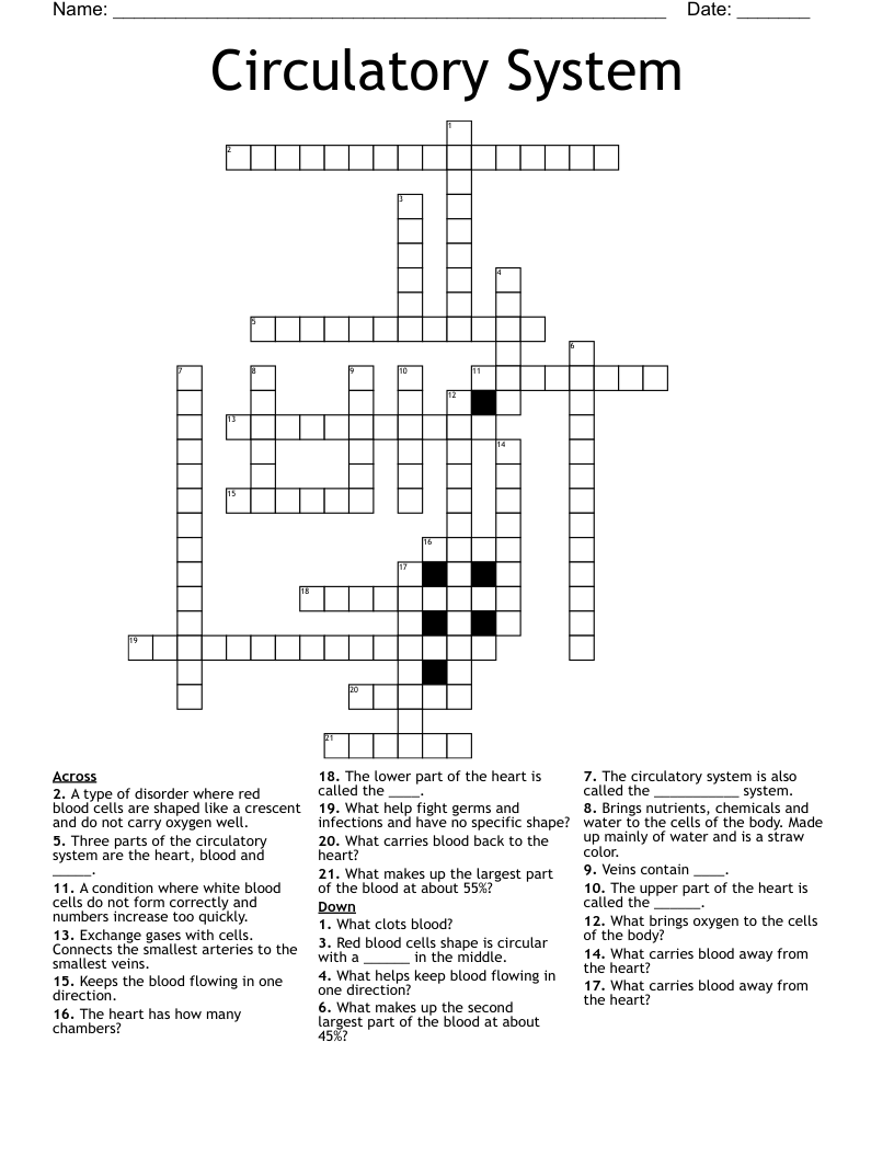 Circulatory System Crossword