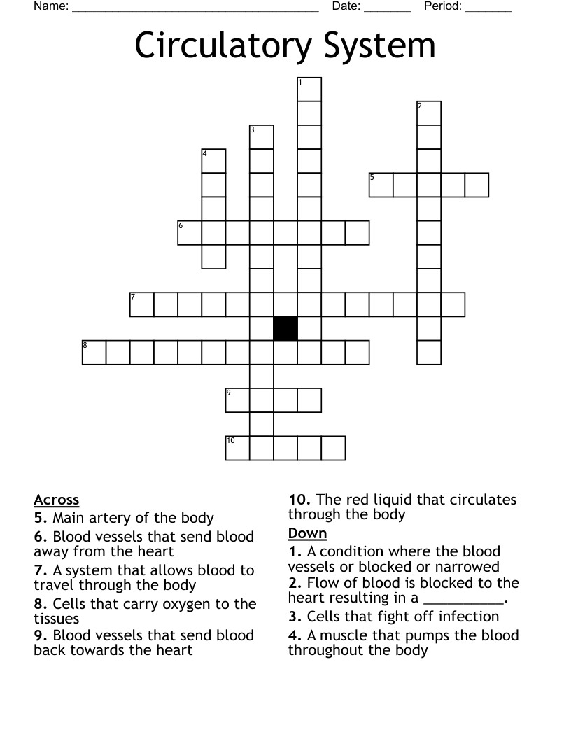 Circulatory System Crossword