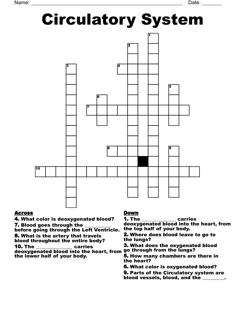 Circulatory System Crossword