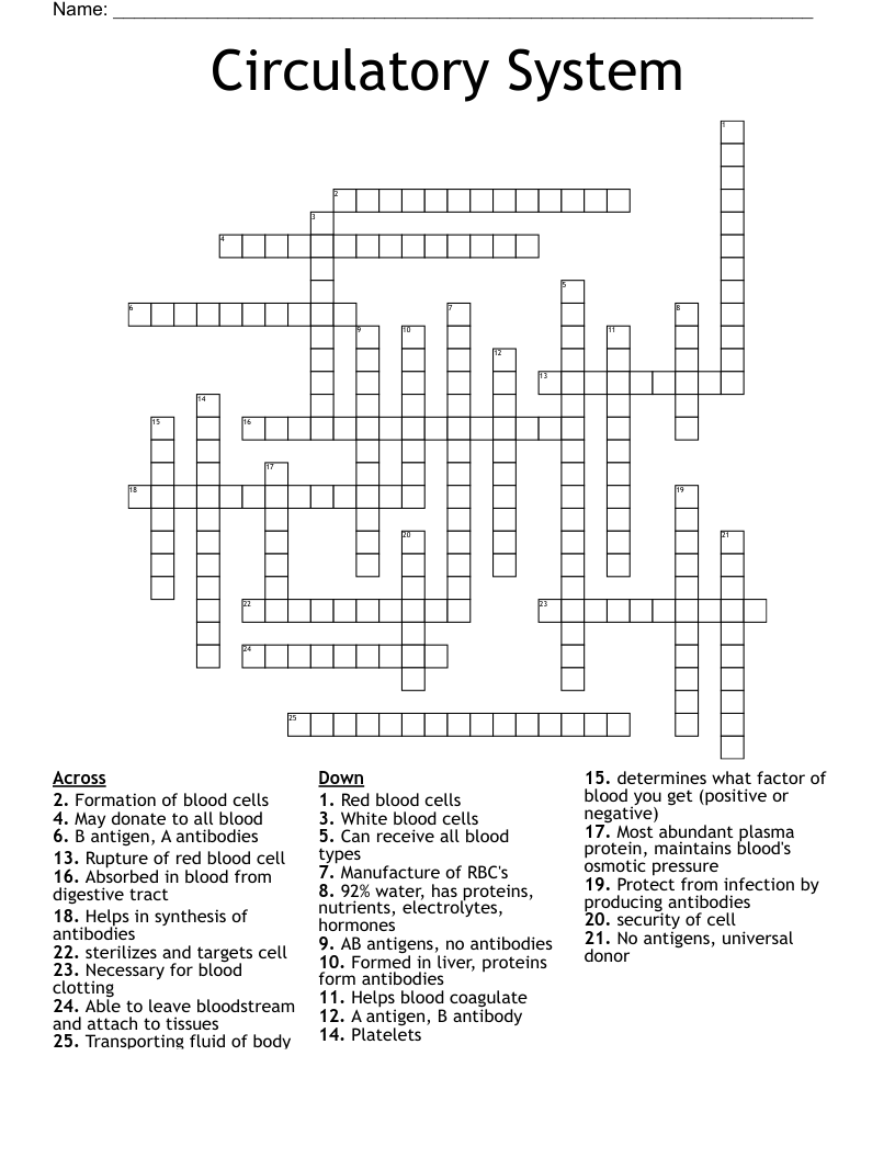 Circulatory System Crossword