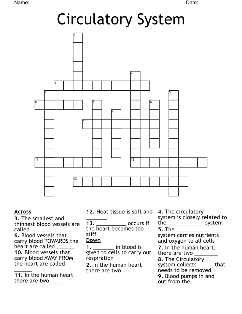 Circulatory System Crossword