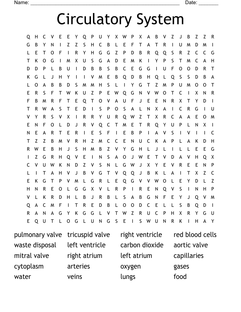Circulatory System Word Search