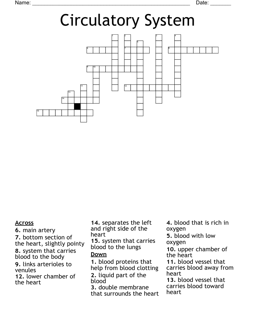 Circulatory System Crossword