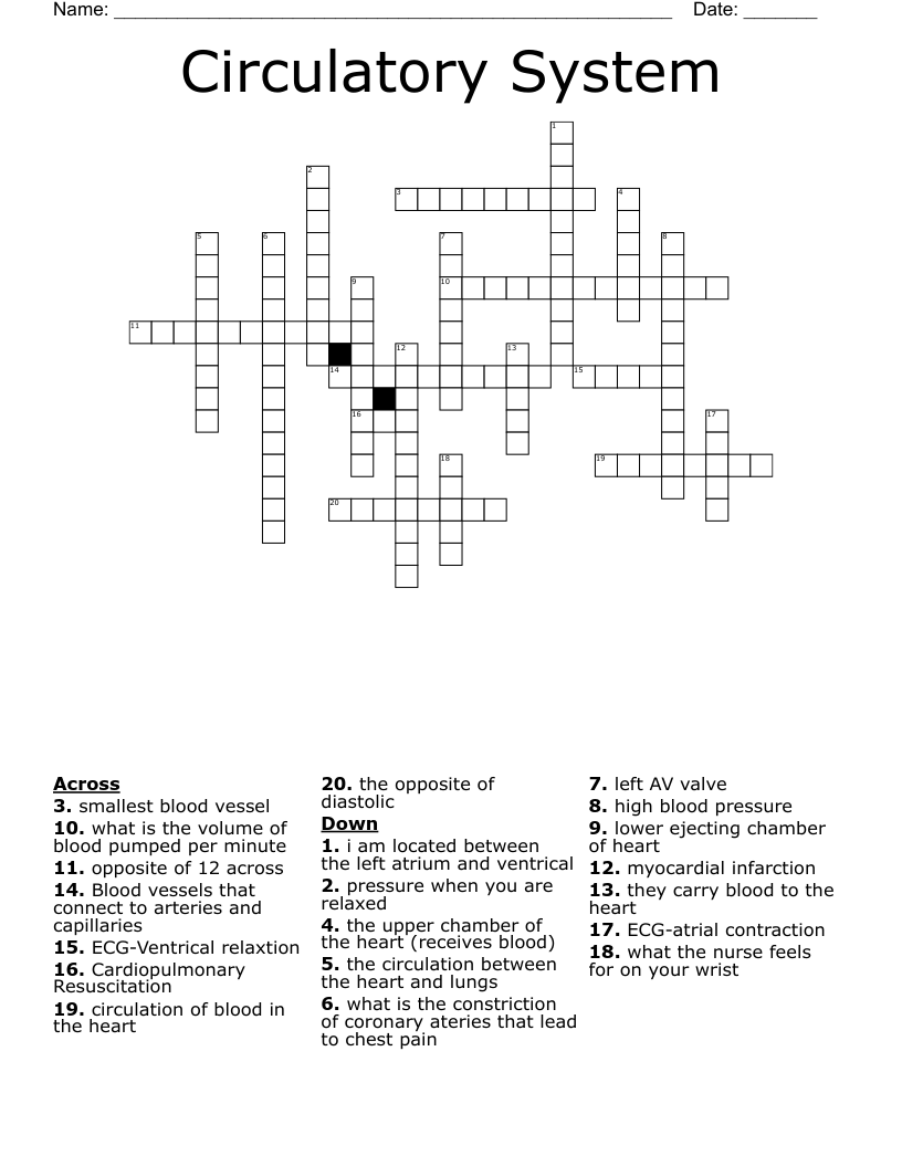 Circulatory System Crossword