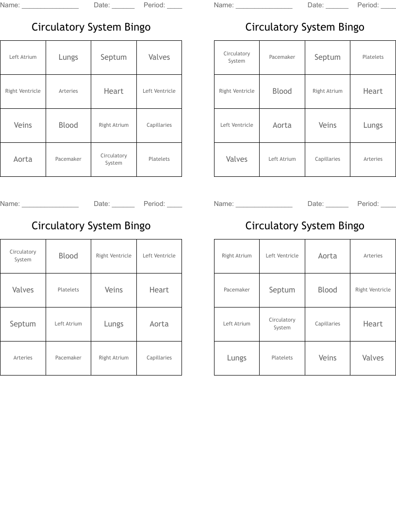 Circulatory System Bingo 