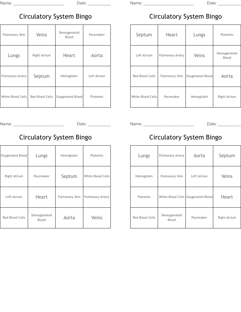 Circulatory System Bingo 